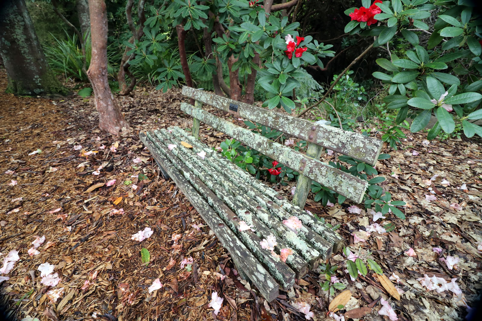 2017 10 15 Botanic Gardens 12